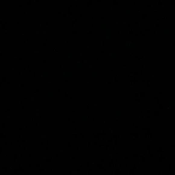 Meet your Posher, Darius - Picture 1 of 1